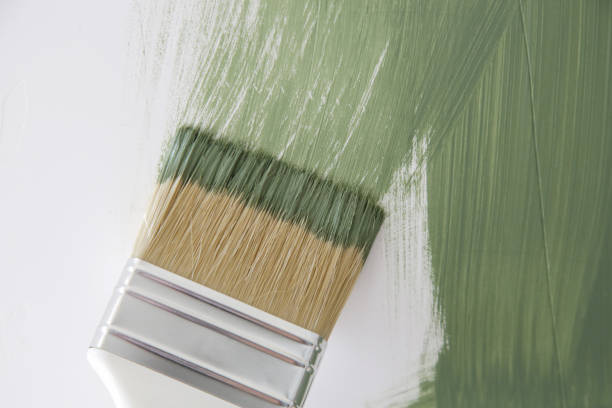 East Brewton, AL Mold Removal Company