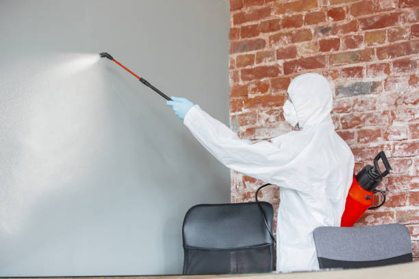 Best Post-Remediation Verification Testing  in East Brewton, AL