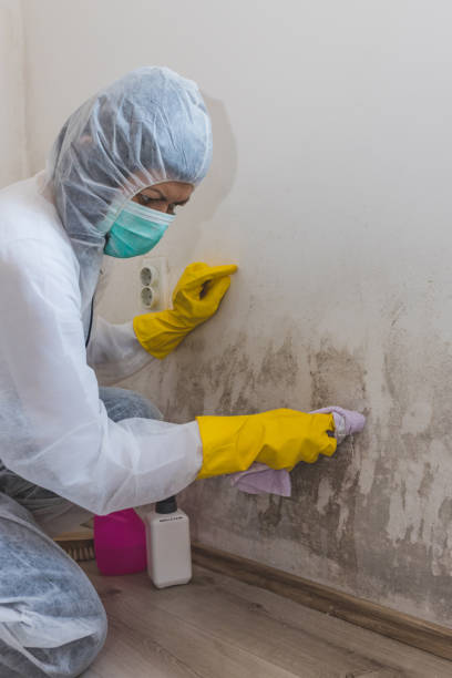 Best Mold-Related Health Consultation  in East Brewton, AL